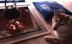 日本海まで歩いて5分！ひと組のみ独占宿泊の古民家隠れ家宿