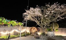 【最大15名】【7名まで最安料金】サーファー歓迎 古民家の完全プライベート空間でBBQ・サウナ・露天風呂