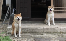 秋田犬が暮らす民泊 角館・武家屋敷 縁Enishi